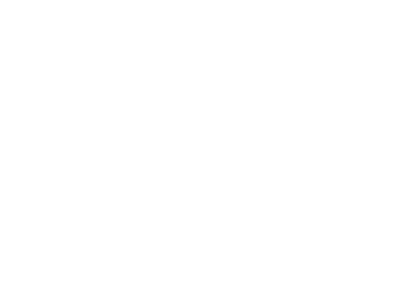 logo-footer-ok